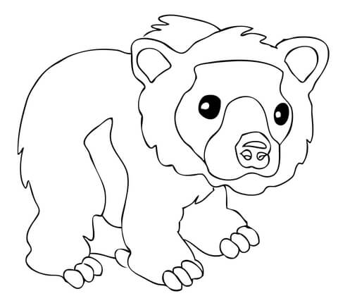 Cute Brown Bear Coloring Page